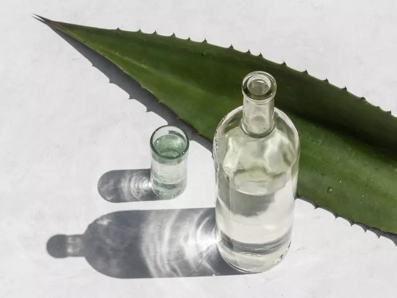 中華民國龍舌蘭文化推廣交流協會-酒品分類-Blanco白龍舌蘭